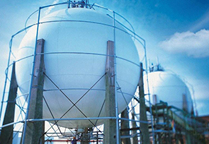 天然气管道工程使用林地可行性报告编制及使用林 地手续办理技术服务采购